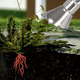 Gartenpflege - Hammersmith Bionic Burner: der umweltfreundliche Unkrautvernichter – Farbe GRÜN – Ansicht 4 Gartenpflege - Hammersmith Bionic Burner: der umweltfreundliche Unkrautvernichter, in Farbe GRÜN – Farbe GRÜN – Ansicht 4