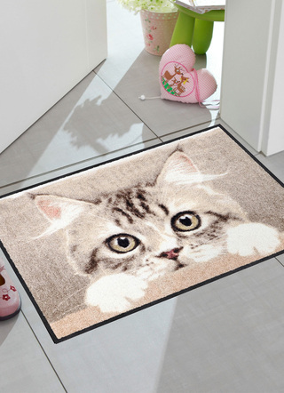 Fußmatten - Fußmatte für Innen- und Außenbereich, in Farbe BUNT