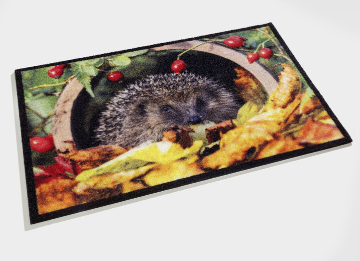 Fußmatten - Fußmatte mit Igel-Motiv, in Farbe BUNT Ansicht 2