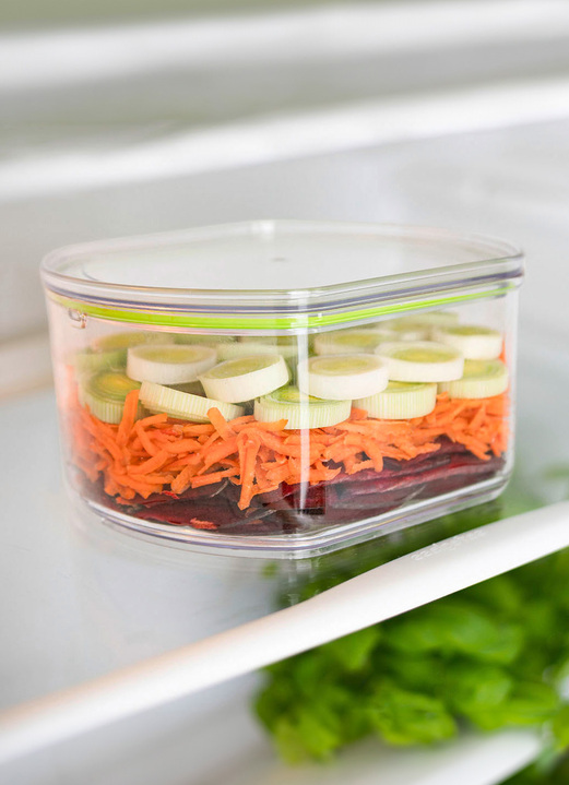 Schüsseln & Behälter - Auffangbehälter für Genius Nicer Dicer Pegasus, in Farbe TRANSPARENT
