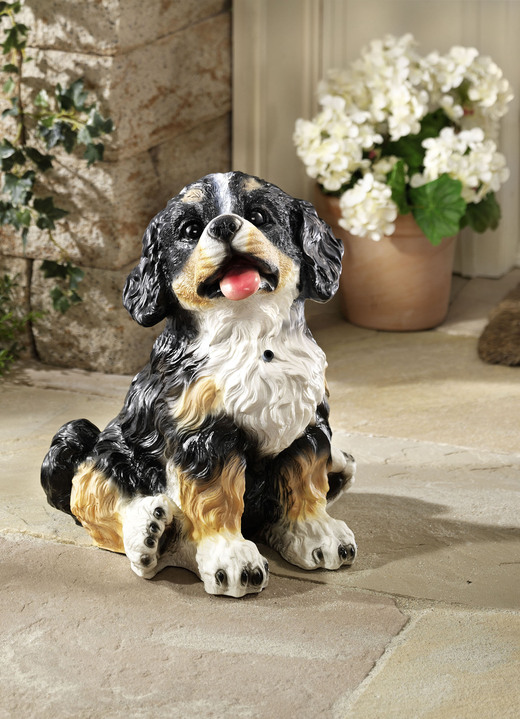 - Bewegungsmelder Berner Sennenhund, in Farbe BUNT