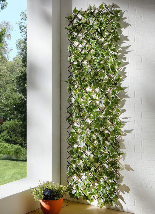 Sichtschutz - Beleuchtetes Wandgitter, in Farbe GRÜN-BRAUN, in Ausführung Efeu, klein Ansicht 2