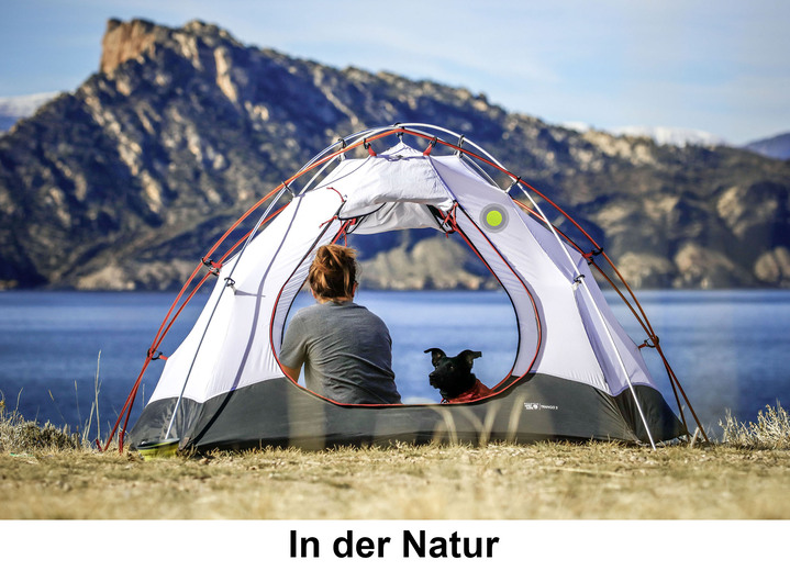 - Anti-Mücken-Aufkleber, in Farbe GRÜN Ansicht 3