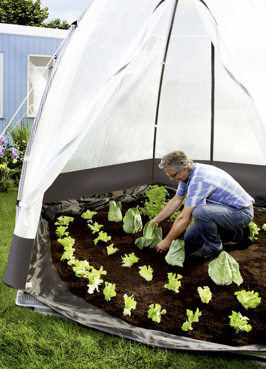 Winterlicher Garten - Tropical Island Pflanzenzelt / Zubehör: Perfekter Schutz bei Wind und Wetter, in Farbe DURCHSICHTIG, in Ausführung Zusatz-Isolierung, 130x130 cm, Höhe 150 cm Ansicht 6