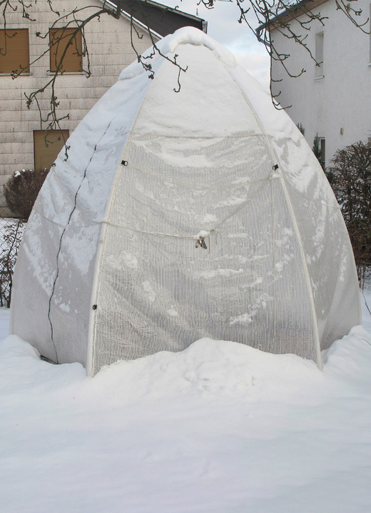 Winterlicher Garten - Tropical Island Pflanzenzelt / Zubehör: Perfekter Schutz bei Wind und Wetter, in Farbe DURCHSICHTIG, in Ausführung Zusatz-Isolierung, 130x130 cm, Höhe 150 cm Ansicht 14