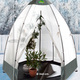 Winterlicher Garten - Tropical Island Pflanzenzelt / Zubehör: Perfekter Schutz bei Wind und Wetter, in Farbe DURCHSICHTIG, in Ausführung Zusatz-Isolierung, 130x130 cm, Höhe 150 cm – Farbe DURCHSICHTIG – Ansicht 18