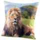 Dekokissen & Hüllen - Kissenbezüge mit Raubtiermotiv, in Farbe LÖWE, in Ausführung Kissenbezug Löwe