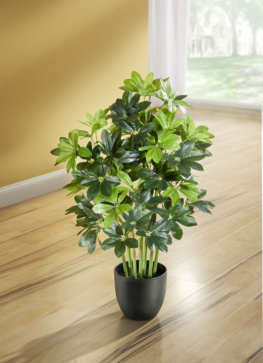Kunst- & Textilpflanzen - Schefflera im Kunststofftopf, in Farbe GRÜN