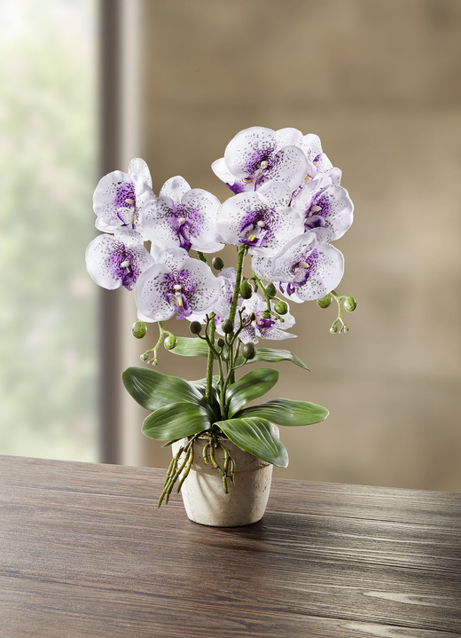 Kunst- & Textilpflanzen - Orchidee im Topf, in Farbe WEISS-LILA