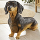 Figuren - Dackel aus hochwertigem Polyresin, in Farbe SCHWARZ-BRAUN
