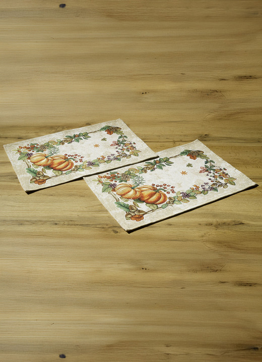 Wohnaccessoires - Tisch- und Raumdekoration, in Größe 100 (2 Platzsets, 33/ 45 cm) bis 404 (Kissenbezug, 45/ 45 cm), in Farbe BUNT Ansicht 1