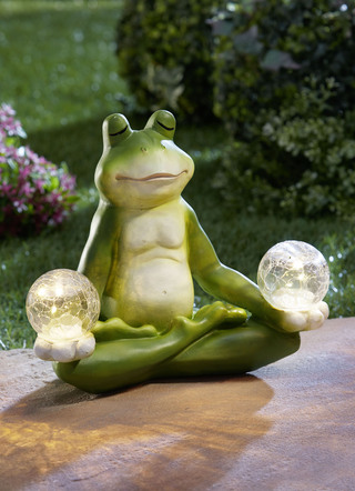 Yoga-Frosch