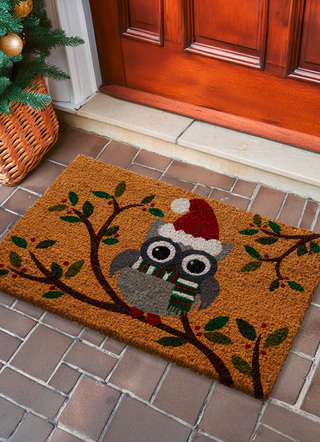 Fußmatten - Kokos-Fußmatte mit Eulen-Motiv, in Farbe BUNT