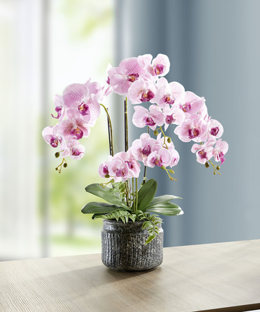 Orchideen-Gesteck im Topf