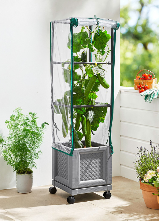 Blumentöpfe und Pflanzgefäße - XXL-Pflanzturm mit Rollen, in Farbe GRAU Ansicht 2