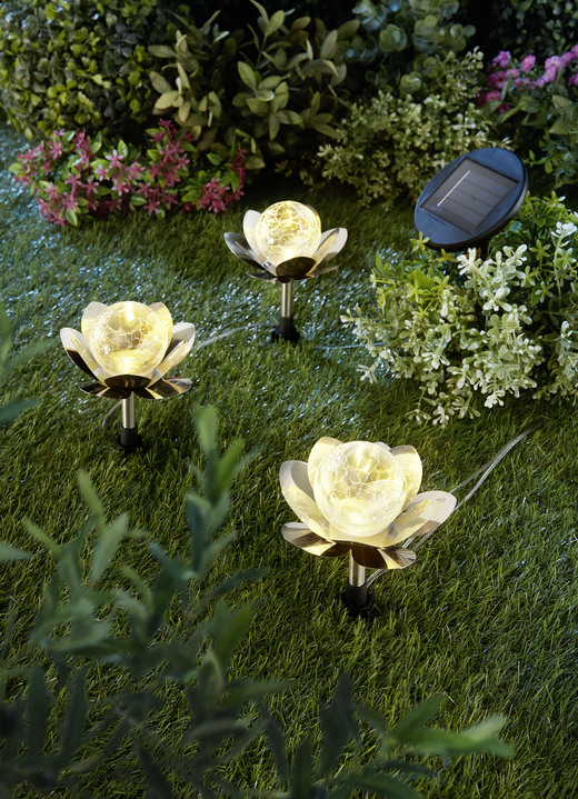 Gartenbeleuchtung - LED-Seerosen, 3-teilig, in Farbe SILBER