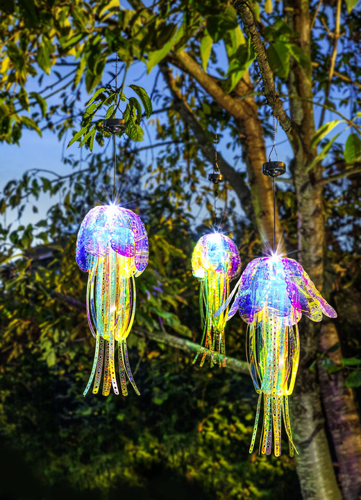 Gartendekoration - Solar-LED-Qualle, in Farbe BUNT Ansicht 1