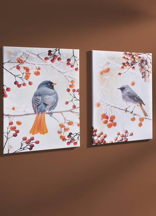 Tiere - Bild Vogel des Jahres 2025 Hausrotschwanz auf Leinwand Ansicht 2 Tiere - Bild Vogel des Jahres 2025 Hausrotschwanz auf Leinwand, in Farbe BUNT, in Ausführung Hausrotschwanz von der Seite Ansicht 2
