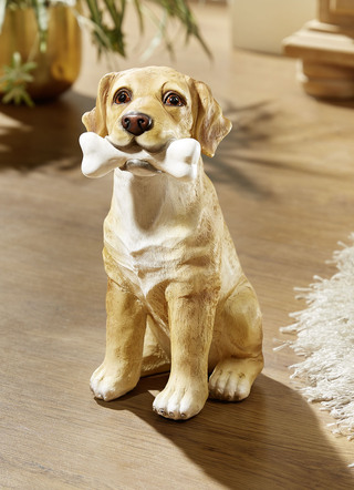 Niedlicher Hund mit Knochen