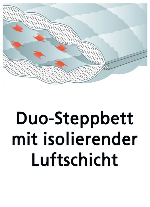 Bettwaren - Bettwarenprogramm von f.a.n. mit aktiver Temperaturregulierung, in Größe 103 (Decke, 135/200 cm) bis 121 (Kissen, 40/80 cm), in Farbe WEISS, in Ausführung Kissen Ansicht 2