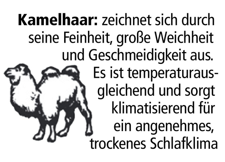 Bettwaren - F.a.n.-Bettwarenprogramm mit feinsten und hochwertigen Edelhaaren Ansicht 4 Bettwaren - F.a.n.-Bettwarenprogramm mit feinsten und hochwertigen Edelhaaren, in Größe 103 (135/200 cm) bis 112 (200/200 cm), in Farbe NATUR, in Ausführung Leicht-Steppbett Ansicht 4