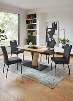 Moderne, individuelle Esszimmermöbel 