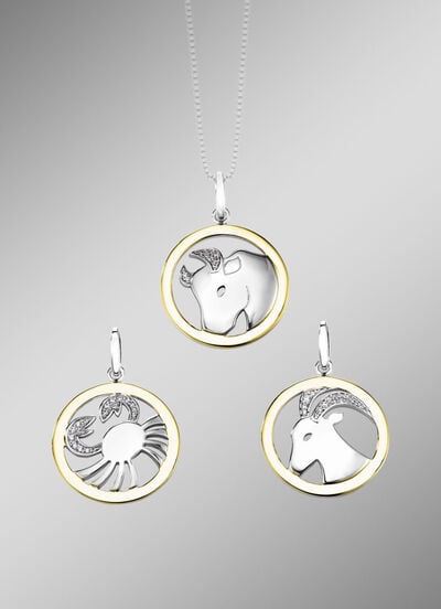 Sternzeichen-Anhänger  