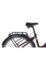 E-Bike Comfort Plus 5.0 von Saxonette 