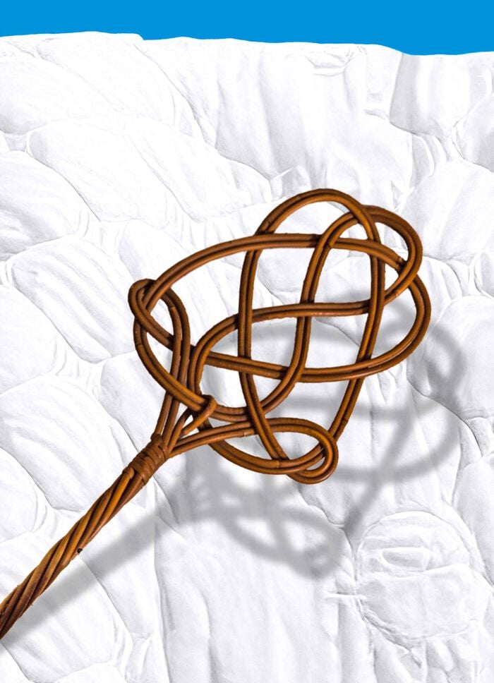 Milbensauger &ndash; vernichtet 99,9% aller Milben, Bakterien und Keime ROT