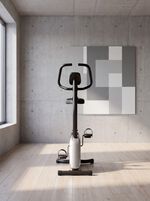 Christopeit Heimtrainer Active 