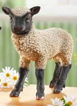 Sch&auml;fchen aus Polyresin 