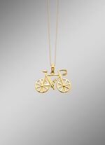 Fahrrad-Anh&auml;nger aus Gold  