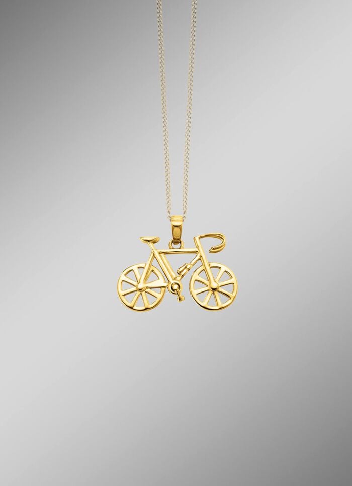 Fahrrad-Anh&auml;nger aus Gold  