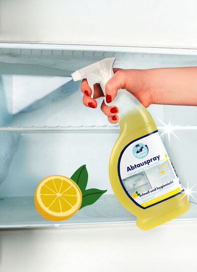 Abtau-Fix mit Zitronenduft,  2er-Set 