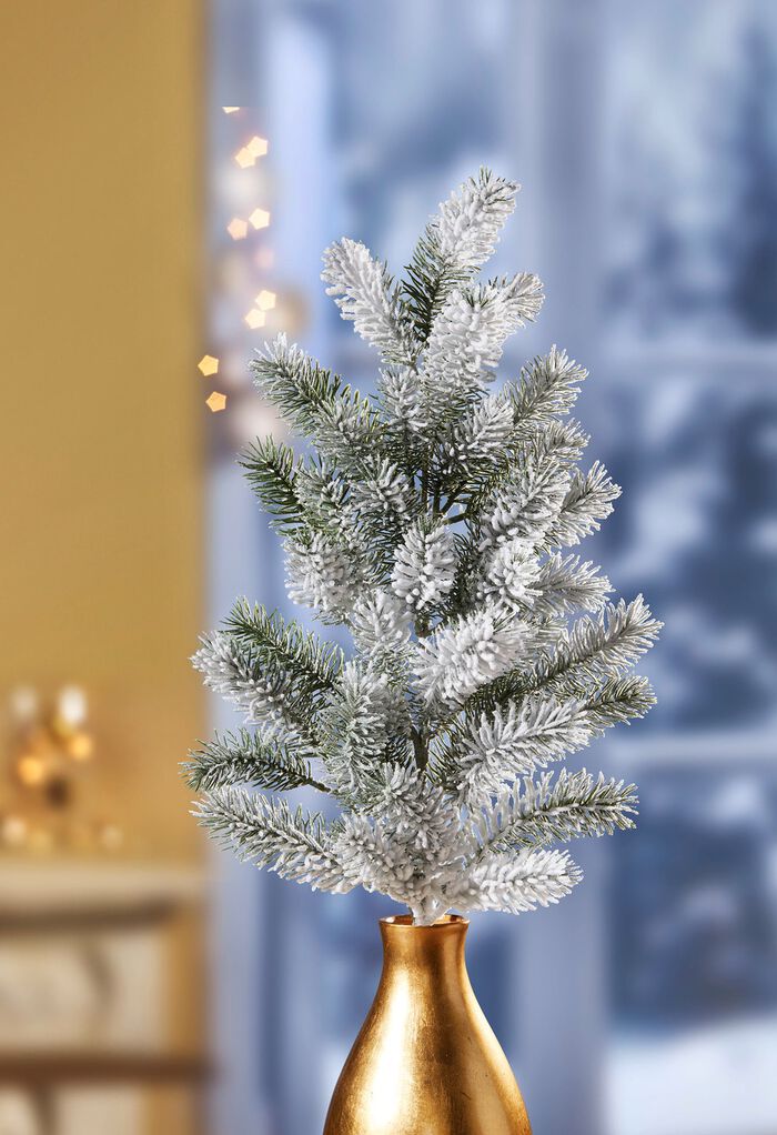 Tannenzweig mit Schnee 