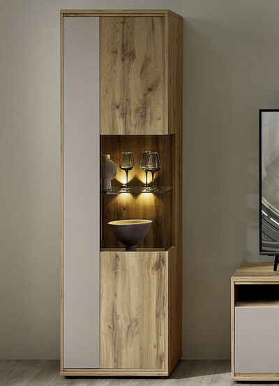 Vitrine mit LED-Beleuchtung 