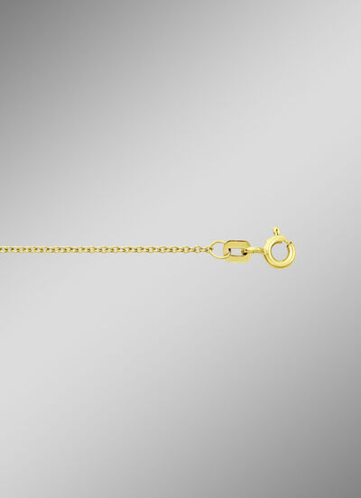 Ankerkette aus Gold 