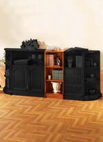 Teilmassive M&ouml;belserie mit Echtholzfurnier 