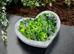 Herz-Pflanzschale aus wetterfestem Polyresin 