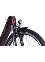 E-Bike Comfort Plus 5.0 von Saxonette 