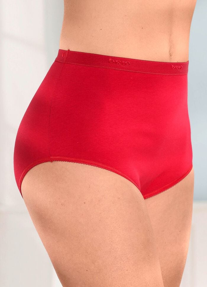 brio lingerie F&uuml;nferpack Slips mit elastischen Abschl&uuml;ssen 