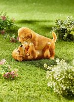 Spielende Hundewelpen 