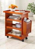 Multifunktions-Wagen mit Leichtlaufrollen KIRSCHBAUM