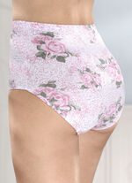 Viererpack Slips mit h&uuml;bschem Rosendruck 