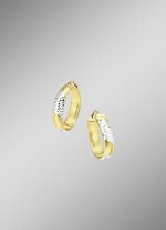 Glänzende Creolen in Bicolor 