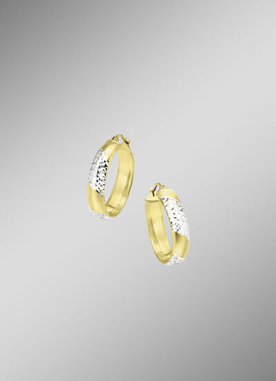 Glänzende Creolen in Bicolor 