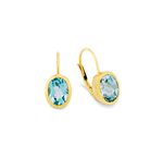 Bezaubernde Ohrringe mit Blautoas 