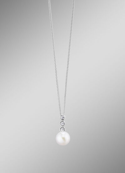 Anhänger mit Panzerkette 