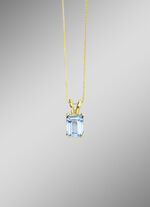 Anh&auml;nger mit Kette  