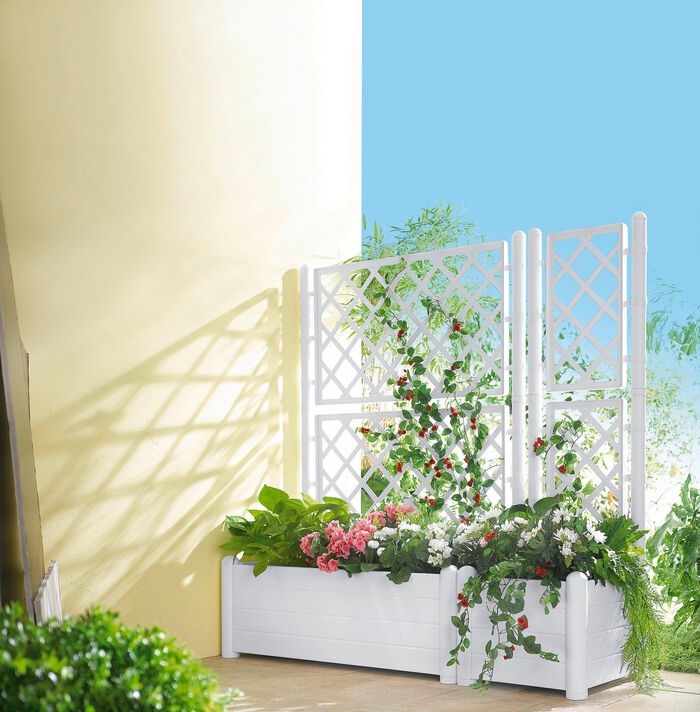Pflanzkasten mit Spalierwand WEISS